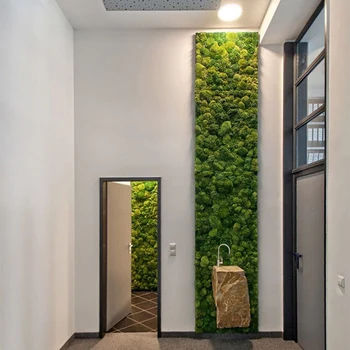 500G de Simulação de Planta Verde Musgo Grama Casa Sala de estar Decorativa Parede DIY Decoração de Flores com Caixa de Presente