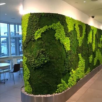 500G de Simulação de Planta Verde Musgo Grama Casa Sala de estar Decorativa Parede DIY Decoração de Flores com Caixa de Presente