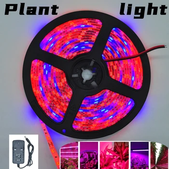 Tira de LED Planta Crescer luzes 1m 2m 3m Espectro Completo de Flores fito lâmpada DC 5V Vermelho e Azul Barra de Luz interior