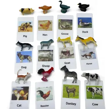 Bebê Montessori de Aprendizagem de línguas de Materiais de Aves de Animais jogo de Cartas Montessori Brinquedos Educativos para Crianças de 3 Anos L0846F