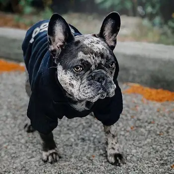 Moda De Cão Casaco De Inverno Cão De Estimação, Roupas Para Cães Jaqueta Casaco De Algodão Ropa Cão Bulldog Francês De Roupas Para Cães Animais De Estimação Roupas