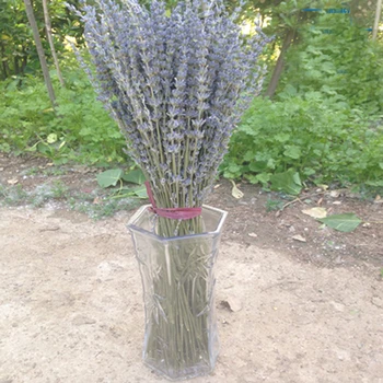 100g secas naturais, bouquets de flores secas naturais English Lavanda buquê de flores e gerais azul lavanda, flor Cachos