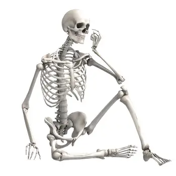 90cm Simulação Esqueleto Humano Enfeite Festa de Halloween Bar Casa Assombrada Adereços