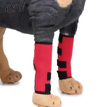 Perro De Produtos Para Animais De Estimação Para Cães O Cuidado Kneepad Cão Leggings Cão De Estimação Protetor De Cirurgia De Lesão Capa Protetora De Borracha Kneelet Suprimentos