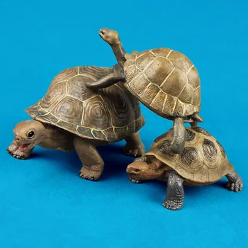 3pcs Realista Realista Tartaruga Tartaruga Modelos de Conjunto Sólido de Plástico Animal Selvagem Figuras Crianças Cognitivo Brinquedos de criança Presentes