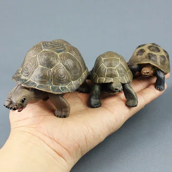 3pcs Realista Realista Tartaruga Tartaruga Modelos de Conjunto Sólido de Plástico Animal Selvagem Figuras Crianças Cognitivo Brinquedos de criança Presentes