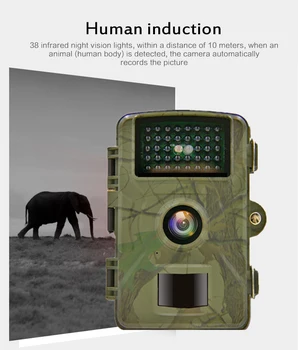 DL001 Caça Câmara T1080P de Visão Noturna Infravermelha Trilha Câmera sem Fio IP66 1080P de Vigilância de animais Selvagens Câmera de Caça Scoutin