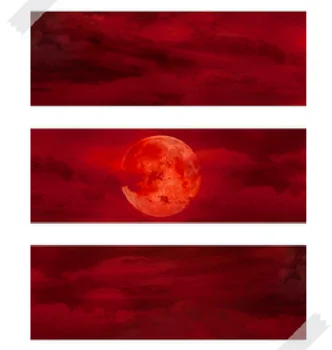 5m Bloody Moon Washi Tape