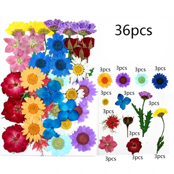 Flores secas Resina UV Decorativo de Flor Natural, Adesivos 3D Seco Beleza Decalque