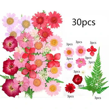 Flores secas Resina UV Decorativo de Flor Natural, Adesivos 3D Seco Beleza Decalque