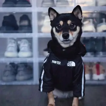 Cão Roupas Adidog Bulldog Francês Pupreme Camisa Cão Blusão Esporte Retro Cão Hoodies Roupas Pet Ropa Cão Cachorro Pugs